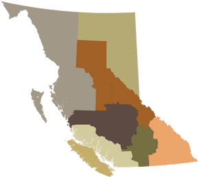 Twitter DriveBC by region